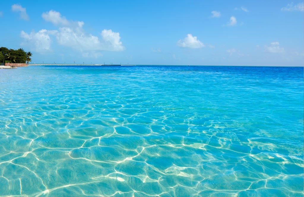 Swimming in Crystal-Clear Key West Waters