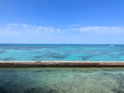 eco friendly key west