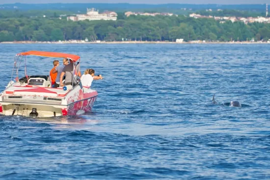 family in a dolphin boat tour