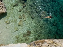 woman in a private snorkeling experience in key west
