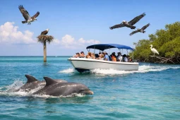 Key West Wildlife Boat Tour for Your Best Day