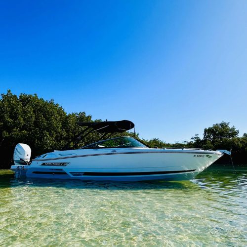 IMG_20241223_143238-scaled-1